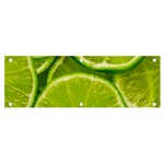 Lime Slices Close Up, Fresh, Fruit, Green Lemon Banner and Sign 6  x 2 