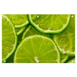 Lime Slices Close Up, Fresh, Fruit, Green Lemon Banner and Sign 6  x 4 