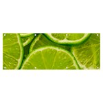 Lime Slices Close Up, Fresh, Fruit, Green Lemon Banner and Sign 8  x 3 