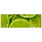 Lime Slices Close Up, Fresh, Fruit, Green Lemon Banner and Sign 9  x 3 