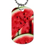 Watermelon, Fruit, Green, Red Dog Tag (Two Sides)