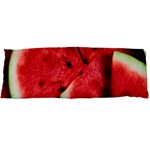 Watermelon, Fruit, Green, Red 21 x60  Body Pillow Case Dakimakura (Two Sides)