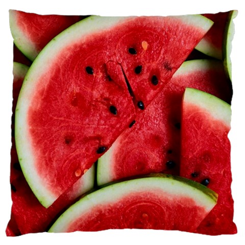 Watermelon, Fruit, Green, Red Large Cushion Case (Two Sides) from ArtsNow.com Front