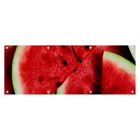 Watermelon, Fruit, Green, Red Banner and Sign 8  x 3  from ArtsNow.com Front