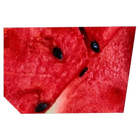 Watermelon, Fruit, Green, Red Men s Side Zip Front Pouch Ski And Snowboard Bib Pants	 from ArtsNow.com Loop Right