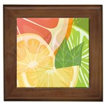 Citrus Fruit Healthy Vitamin Framed Tile