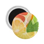 Citrus Fruit Healthy Vitamin 2.25  Magnets