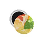 Citrus Fruit Healthy Vitamin 1.75  Magnets