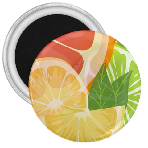 Citrus Fruit Healthy Vitamin 3  Magnets from ArtsNow.com Front