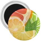 Citrus Fruit Healthy Vitamin 3  Magnets