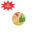 Citrus Fruit Healthy Vitamin 1  Mini Magnet (10 pack) 