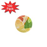 Citrus Fruit Healthy Vitamin 1  Mini Magnets (100 pack) 