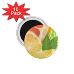 Citrus Fruit Healthy Vitamin 1.75  Magnets (10 pack) 