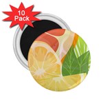 Citrus Fruit Healthy Vitamin 2.25  Magnets (10 pack) 