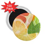 Citrus Fruit Healthy Vitamin 2.25  Magnets (100 pack) 