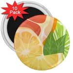 Citrus Fruit Healthy Vitamin 3  Magnets (10 pack) 