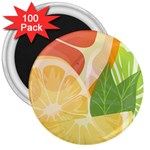 Citrus Fruit Healthy Vitamin 3  Magnets (100 pack)