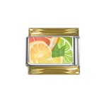 Citrus Fruit Healthy Vitamin Gold Trim Italian Charm (9mm)