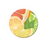 Citrus Fruit Healthy Vitamin Magnet 3  (Round)