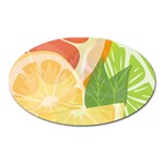 Citrus Fruit Healthy Vitamin Oval Magnet