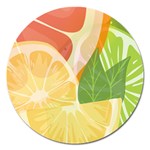 Citrus Fruit Healthy Vitamin Magnet 5  (Round)