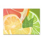 Citrus Fruit Healthy Vitamin Sticker A4 (10 pack)