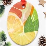 Citrus Fruit Healthy Vitamin Oval Ornament (Two Sides)