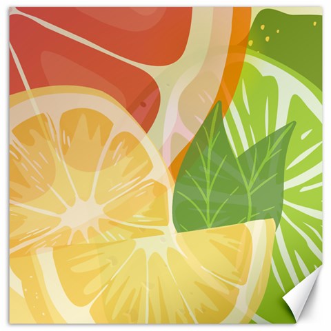 Citrus Fruit Healthy Vitamin Canvas 16  x 16  from ArtsNow.com 15.2 x15.41  Canvas - 1