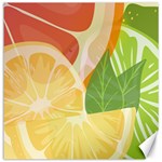 Citrus Fruit Healthy Vitamin Canvas 16  x 16 