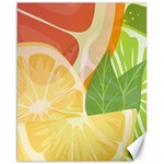 Citrus Fruit Healthy Vitamin Canvas 16  x 20 