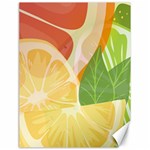 Citrus Fruit Healthy Vitamin Canvas 18  x 24 