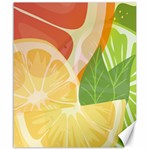 Citrus Fruit Healthy Vitamin Canvas 20  x 24 