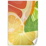 Citrus Fruit Healthy Vitamin Canvas 24  x 36 