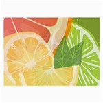 Citrus Fruit Healthy Vitamin Large Glasses Cloth