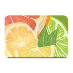 Citrus Fruit Healthy Vitamin Plate Mats