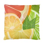 Citrus Fruit Healthy Vitamin Standard Cushion Case (Two Sides)