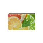 Citrus Fruit Healthy Vitamin Cosmetic Bag (Small)