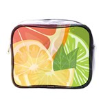 Citrus Fruit Healthy Vitamin Mini Toiletries Bag (One Side)