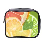 Citrus Fruit Healthy Vitamin Mini Toiletries Bag (Two Sides)