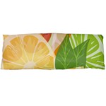 Citrus Fruit Healthy Vitamin One Side Body Pillow Cases