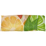 Citrus Fruit Healthy Vitamin 15 x40  Body Pillow Case Dakimakura (Two Sides)