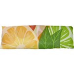 Citrus Fruit Healthy Vitamin 21 x63  Body Pillow Case Dakimakura (Two Sides)