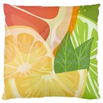 Citrus Fruit Healthy Vitamin Large Cushion Case (Two Sides)