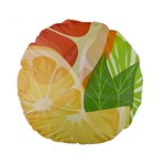 Citrus Fruit Healthy Vitamin Standard 15  Premium Round Cushions