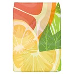 Citrus Fruit Healthy Vitamin Removable Flap Cover (L)