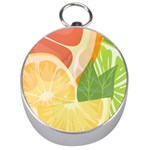 Citrus Fruit Healthy Vitamin Silver Compasses