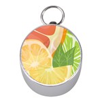 Citrus Fruit Healthy Vitamin Mini Silver Compasses