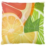 Citrus Fruit Healthy Vitamin Standard Premium Plush Fleece Cushion Case (Two Sides)