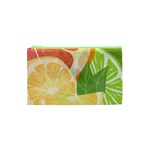 Citrus Fruit Healthy Vitamin Cosmetic Bag (XS)