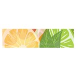 Citrus Fruit Healthy Vitamin Oblong Satin Scarf (16  x 60 )